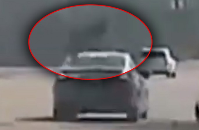 Maral hərəkətdə olan avtomobilin üzərindən belə "uçdu" - VİDEO