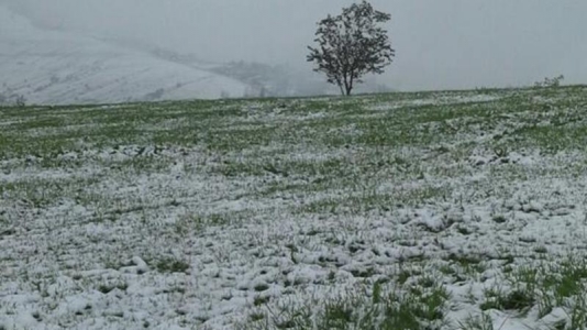Hava proqnozu: Yağış, qar...
