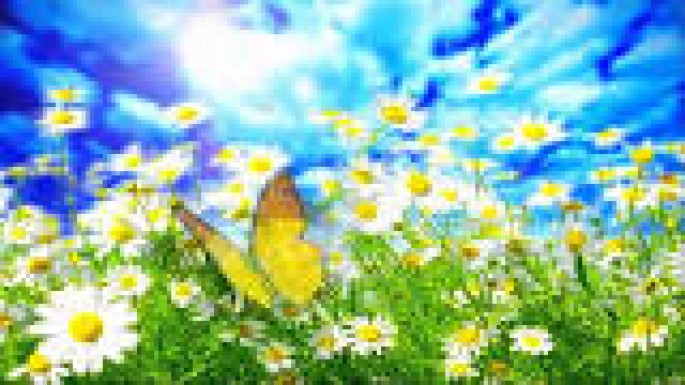 Bu günün hava PROQNOZU