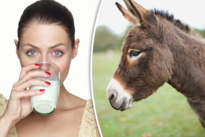 Bakıda eşşək ferması açıldı - Yarım litr uzunqulaq südünün qiyməti...