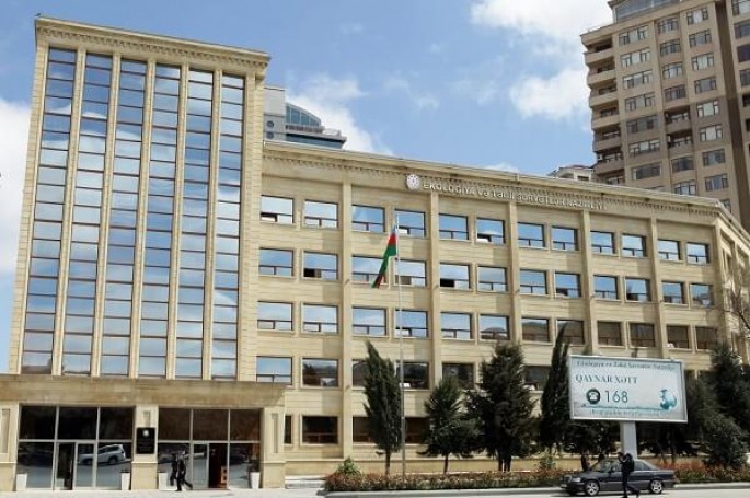 Nazirlik ağac kəsən "jek" rəisini  cərimələdi: 5 min manat 