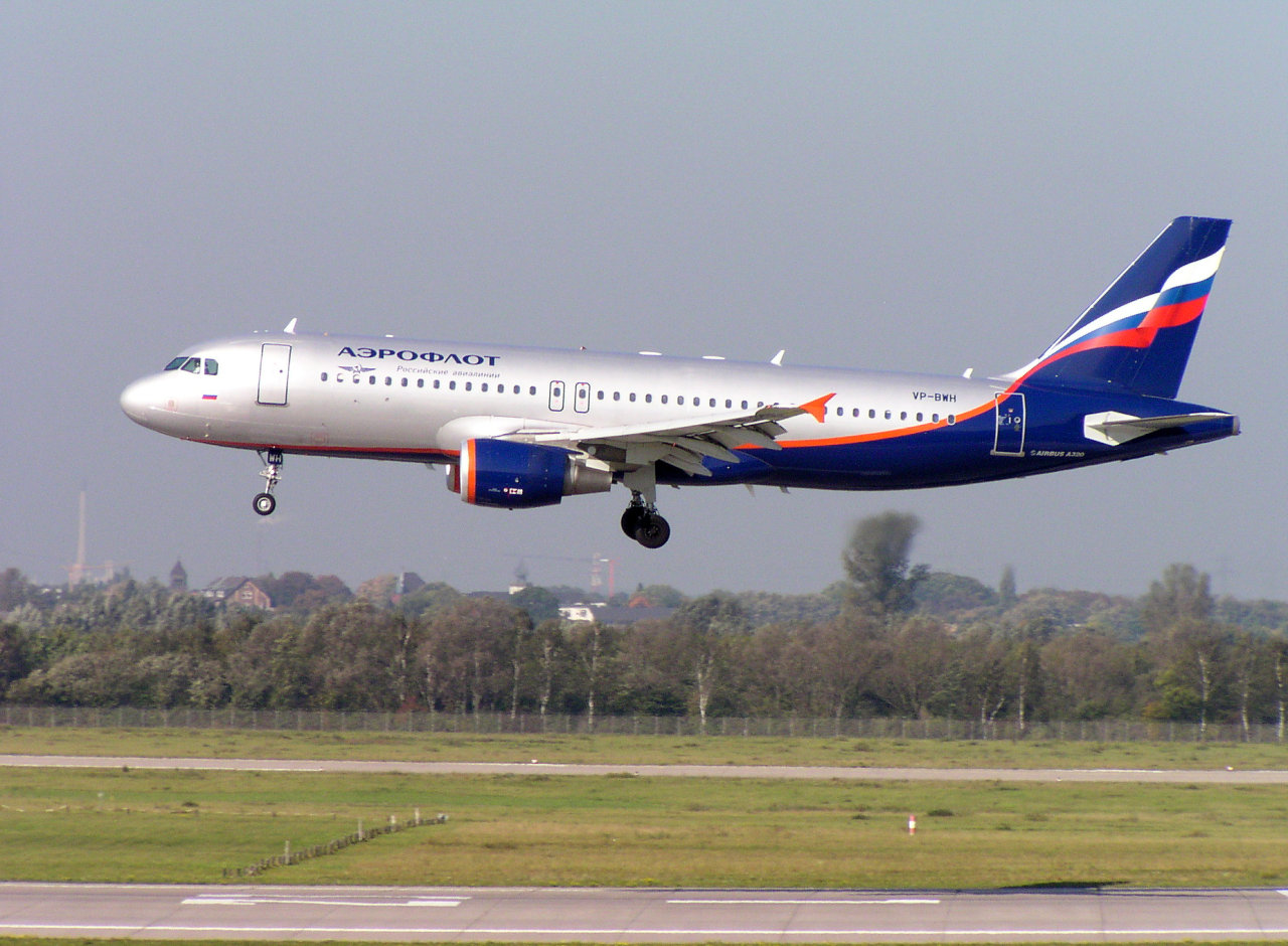 Bu itlər "Aeroflot"da "uçmayacaqlar"