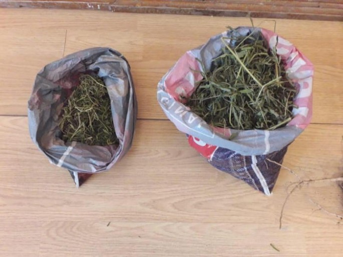 Sabirabad sakinindən narkotik götürülüb