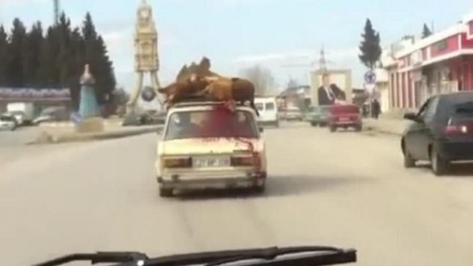 Azərbaycanda görünməmiş VƏHŞİLİK - maşından qan axdı - VİDEO