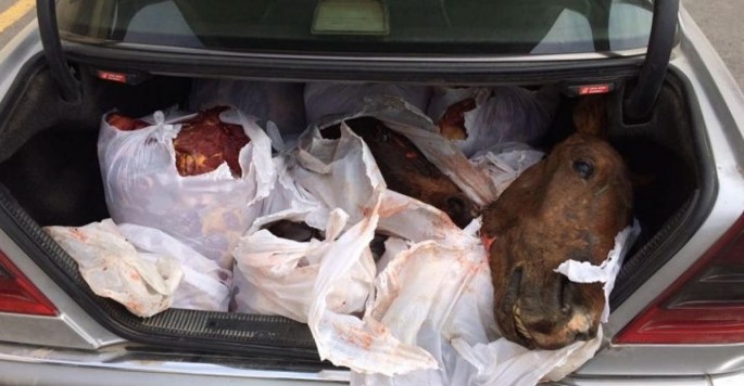 “Opel”dən 330 kiloqram at əti aşkar edildi - Xaçmazda