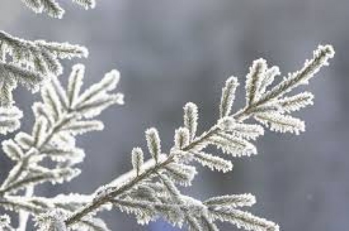 Dünyanın ən soyuq yerləri haradır?