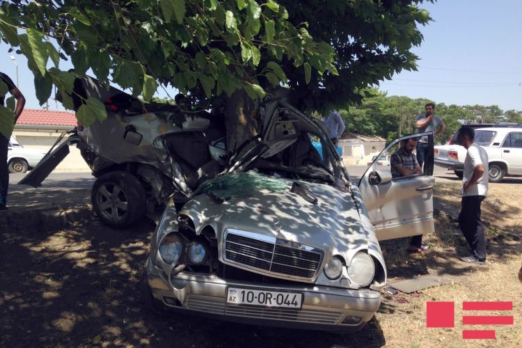 “Mercedes” ağaca "sarıldı": 2 ölü - Lənkəranda - FOTOLAR