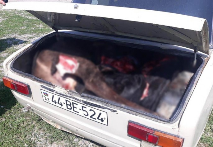 Avtomobildən yararsız 120 kq ət məhv edilib - FOTO