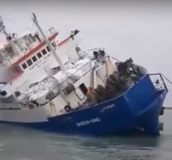 Qara dənizdə gəmi çevrildi: 14 min qoyun tələf oldu - VİDEO