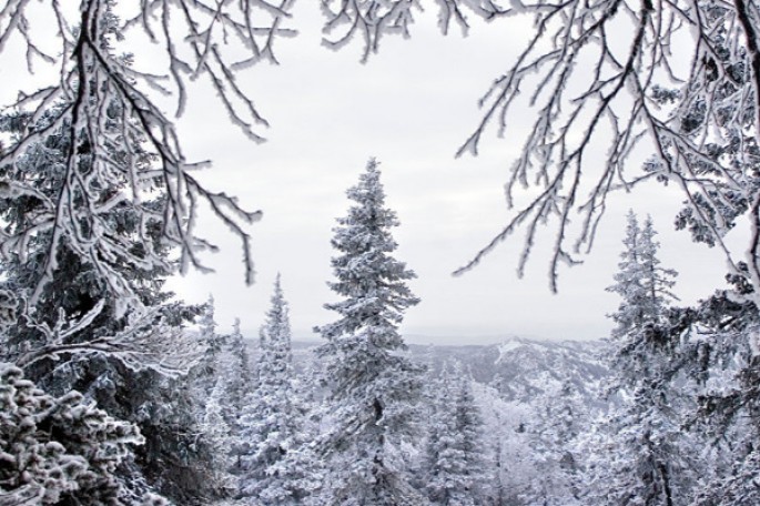 Alimlərin yeni iddiası: Buzlaq dövrü qayıdır