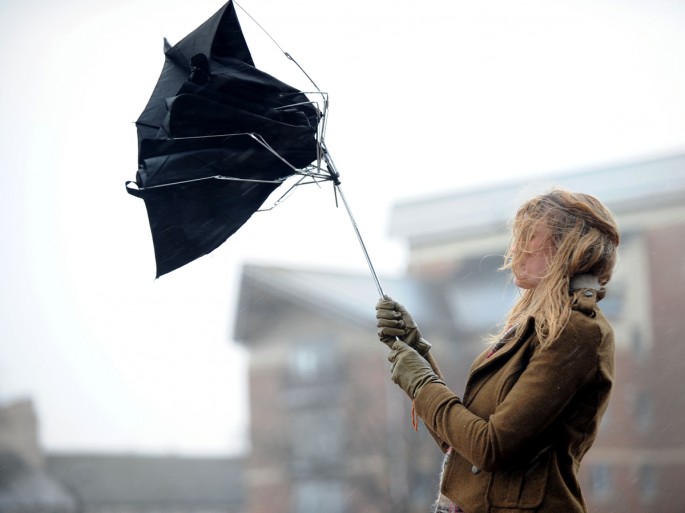 Ağaclar yerindən qopdu: Bakıda güclü külək
