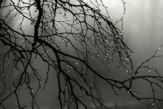 Yağmurlu hava şəraiti davam edəcək