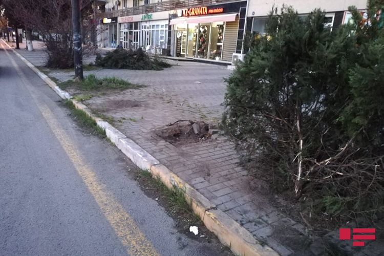 Sumqayıtda yol polisi əməkdaşı qəza törədib  - Yaralı var - FOTO