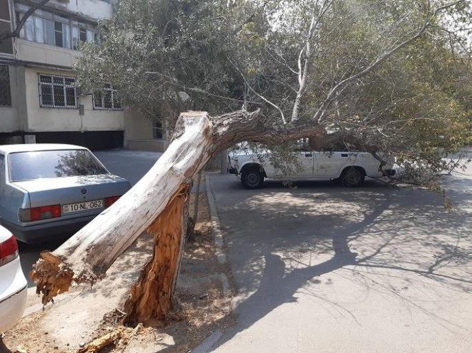 Bakıda güclü külək: ilk ziyanını vurdu - FOTO