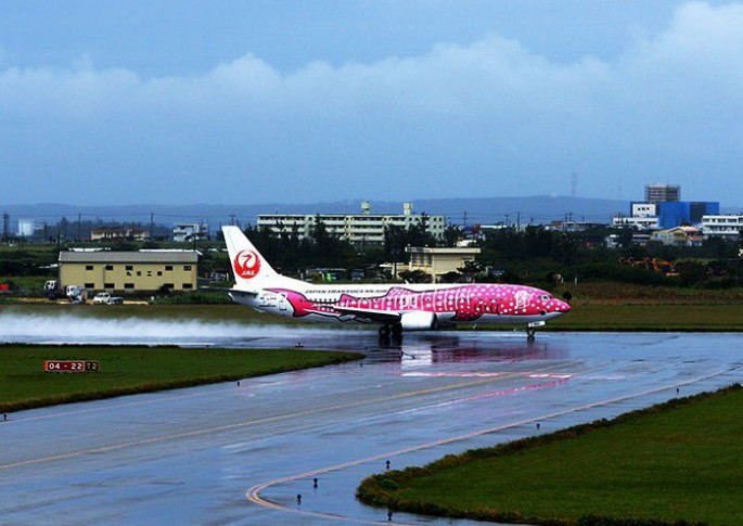 Fırtına səbəbindən 200-ə yaxın aviareys ləğv edilib