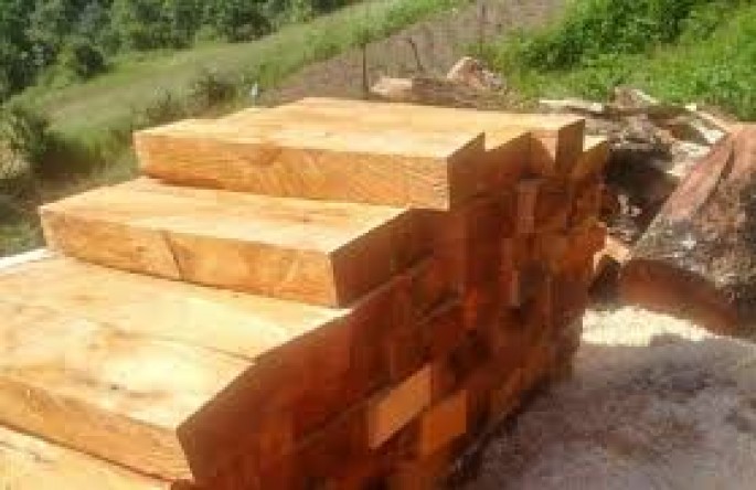 Qanunsuz yolla əldə edilmiş meşə materialı aşkar edilib – Lənkəranda