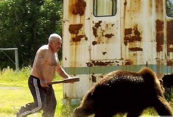 Qubada ayını öldürüb, dərisini soydular – FOTO