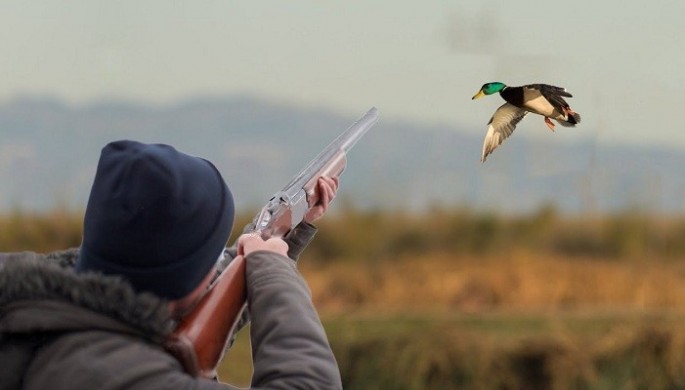 İcazəsiz ova cəhd edən şəxs saxlanılıb - Hacıqabulda