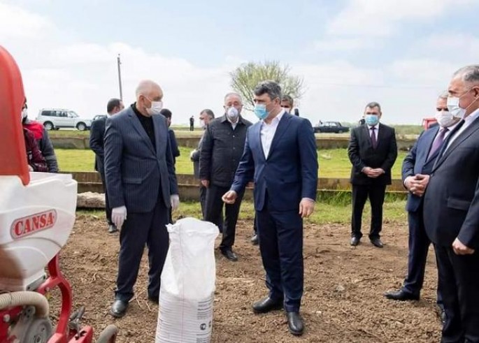 Azərbaycanın pambıqçılıq rayonlarında çiyid səpininə start verilib - FOTO