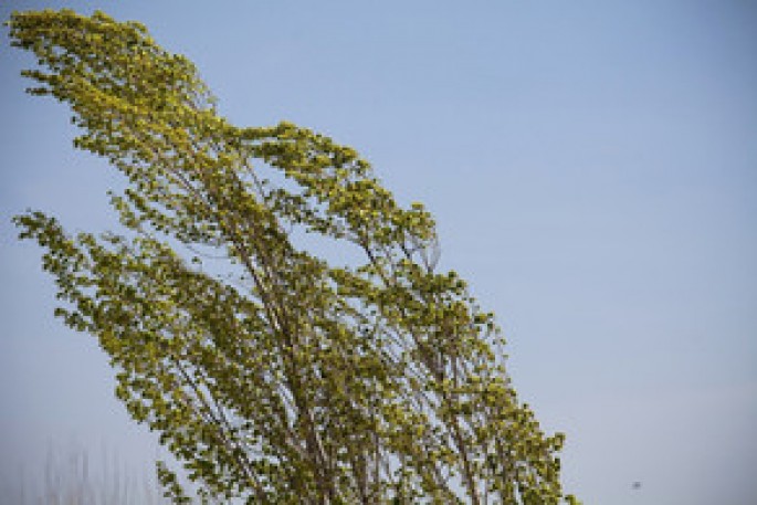 Azərbaycanda güclü külək əsəcək - XƏBƏRDARLIQ