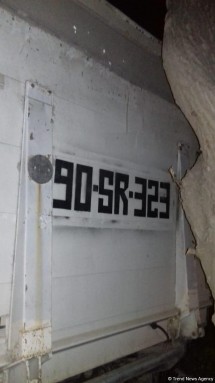 Bakıda iri ağacı kəsən sakinlər əllərində mişar yaxalandılar - FOTO