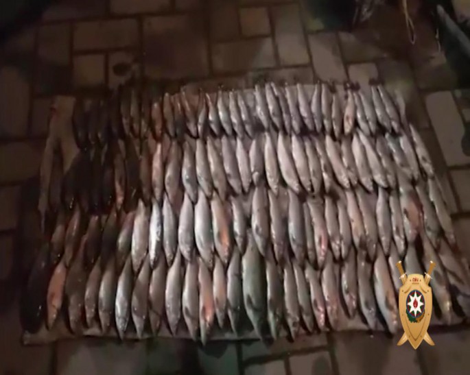 Su Polisi brokonyerləri yaxaladı - VİDEO