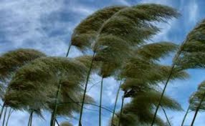 Bakıda güclü külək əsəcək – XƏBƏRDARLIQ