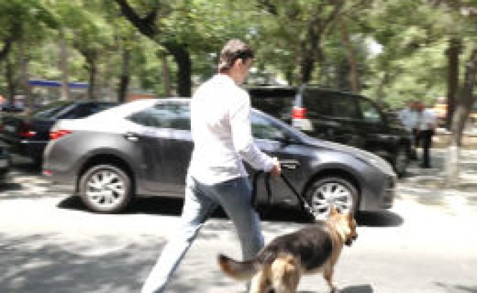 Bakıda heyvanlar üçün xüsusi avtomobil – “Zoo Taksi”