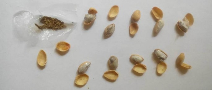 Arvad kotletin içərisində narkotik maddə keçirmək istəyib - FOTO