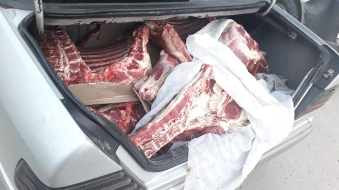 Avtomobildən ölmüş heyvan cəmdəyi aşkarlanıb - FOTO