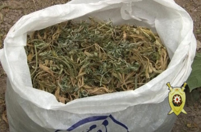 Bakıda keçmiş məhkumdan 2 kiloqramdan çox marixuana götürülüb