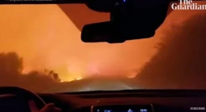 Maşınla odun içindən keçərək xilas olmağa çalışırlar - VİDEO