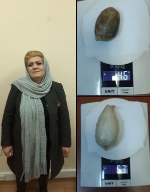 13 halda dövlət sərhədini qanunsuz keçmək cəhdlərinin qarşısı alınıb - FOTO