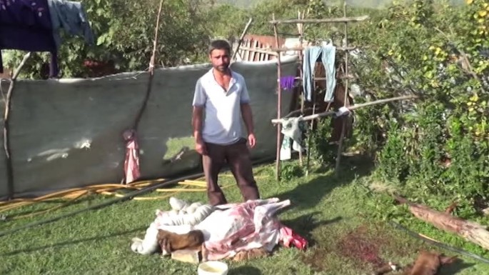 “Leş Tofiq”dən sonra “Leş Elgün” də ələ keçdi - VİDEO