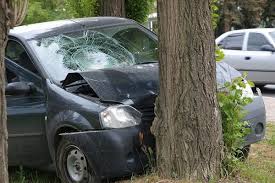“Nissan” yolun kənarındakı ağaca çırpıldı: 1 ölü, 1 yaralı – Qəbələdə