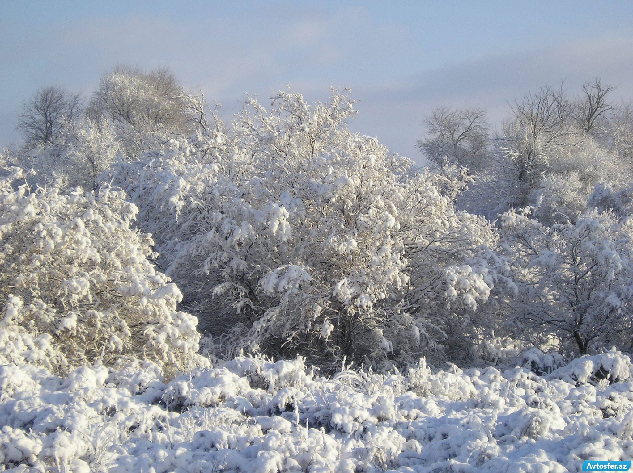 Azərbaycanda bu mənzərənin seyrinə 80 min turist getdi - FOTO
