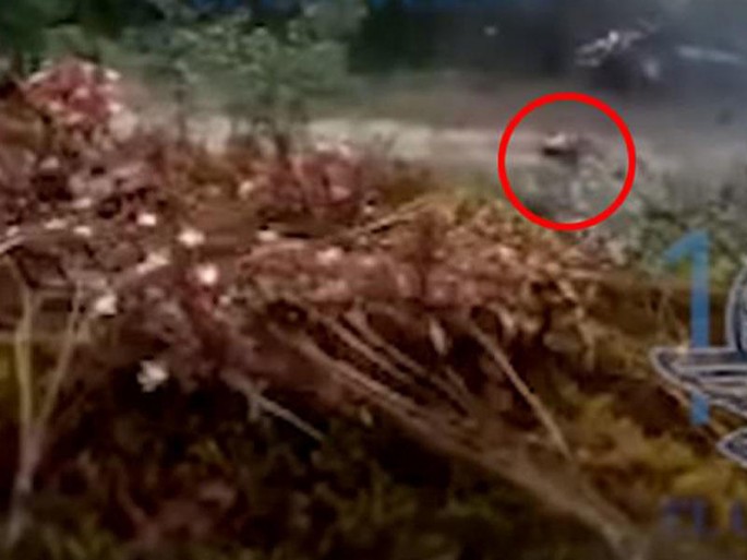 Şok kadrlar: 5 polis belə güllələndi – VİDEO