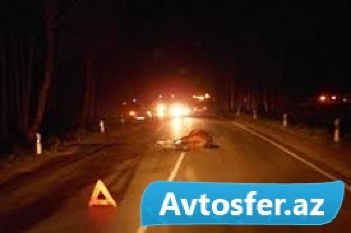 Yevlaxda avtomobil atı vurub öldürdü