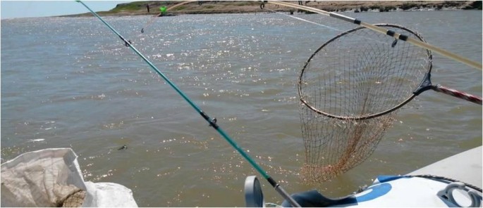 Kür çayında icazəsiz balıq ovlayan şəxs saxlanılıb