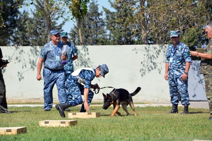 Bu il itlər 882 kq narkotik vasitə aşkar edib - FOTO