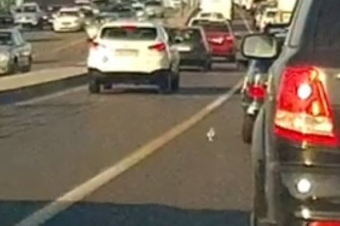 Yola zibil atan "Mercedes" sürücüsü - VİDEO