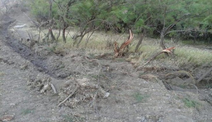 Kolları məhv edən şəxs cərimələnib