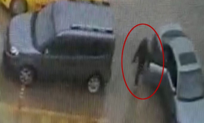 Avtomobildən içində 300 min olan iki çanta oğurlandı: polis hər yerdə onları axtarır - VİDEO