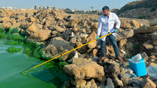 Böyükşor gölünün bir hissəsi yaşıllaşıb – İlkin səbəb AÇIQLANDI   - FOTO