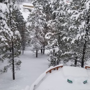 Arizona ştatında son 104 ilin ən güclü qar yağıntısı qeydə alınıb - FOTO