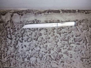 Siqaret qutusunda narkotik aşkarlanıb