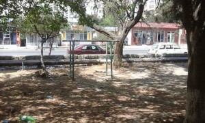 Xətaidə yaşıllıq məhv olur –İcra başçısına müraciət edildi