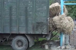 Masallıda yaşlı qadın yük maşını ilə su çəni arasında qalaraq ölüb - VİDEO