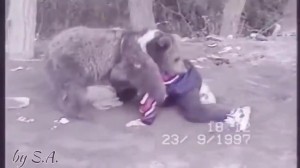 Həbibin 9 yaşında ayı ilə güləşdiyi VİDEOSU