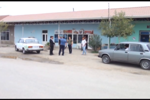 Salyanda qulyabani peyda olub - VİDEO